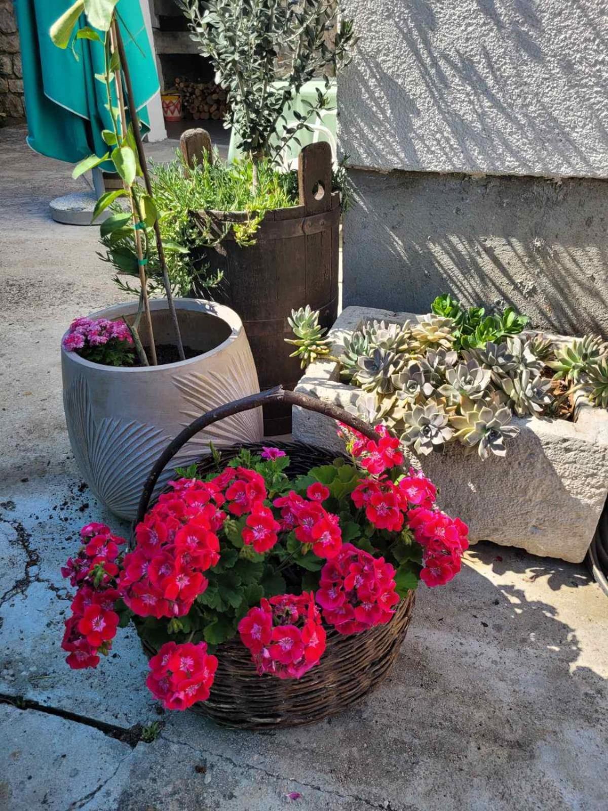 Malin Guesthouse Skradin Luaran gambar
